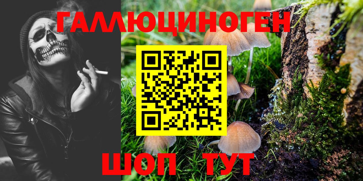 Псилоцибиновые грибы MAGIC MUSHROOMS  Вход с VPN  Апрелевка 