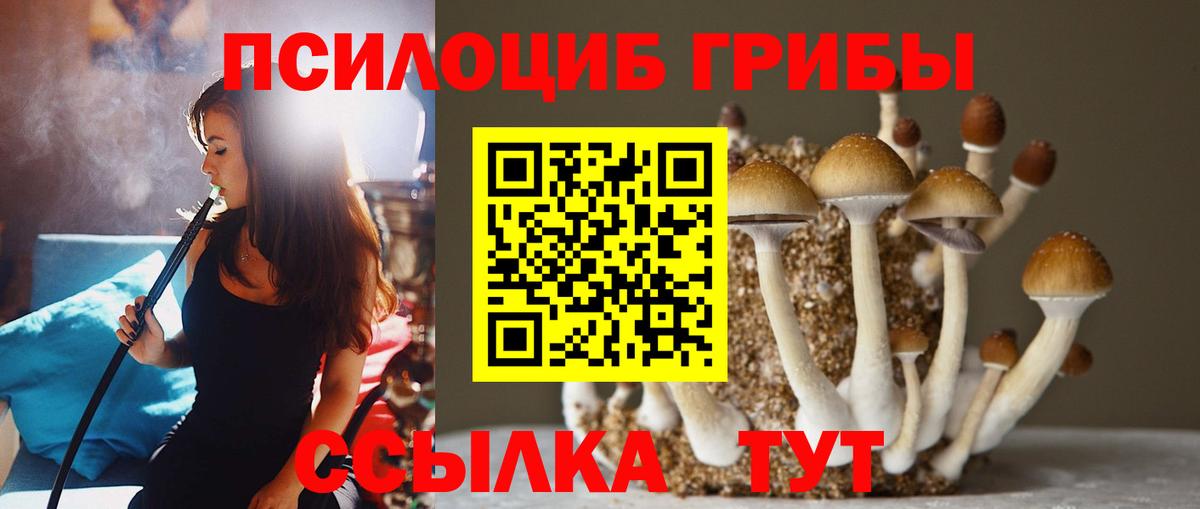 Галлюциногенные грибы Magic Shrooms Апрелевка